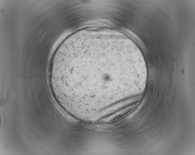 X0000069381196200606021559