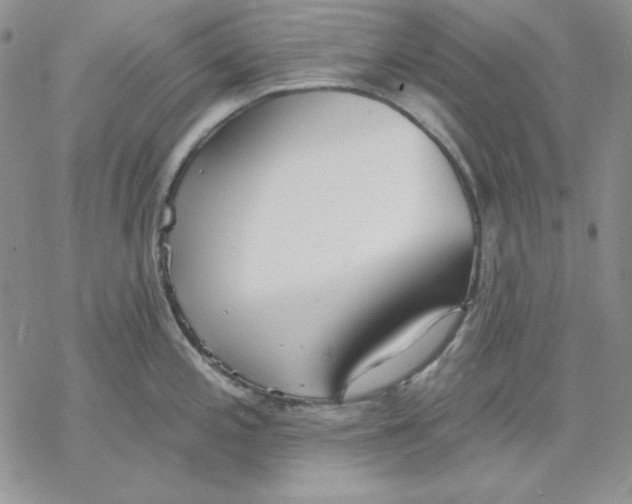 X0000069381197200606021559