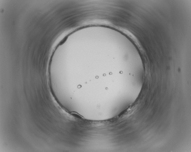 X0000069381199200606021559