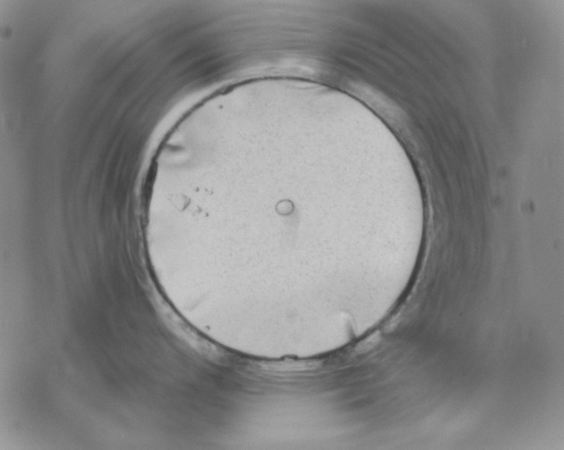 X0000069381200200606021559