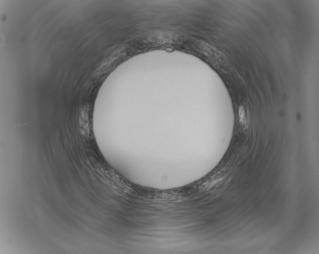 X0000069381203200606021558