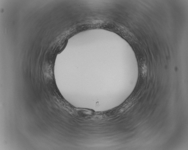 X0000069381204200606021558