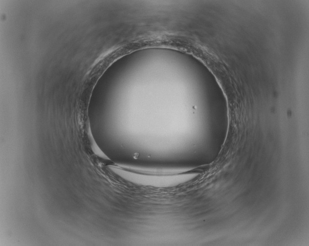 X0000069381206200606021558