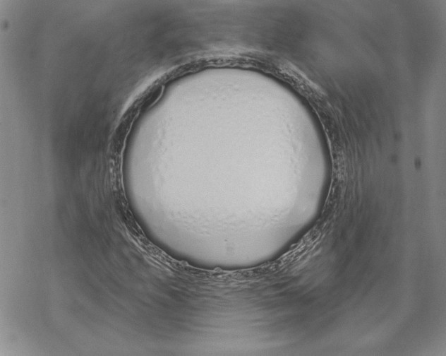 X0000069381208200606021558