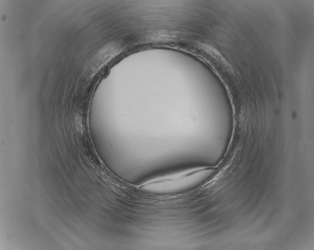 X0000069381209200606021558