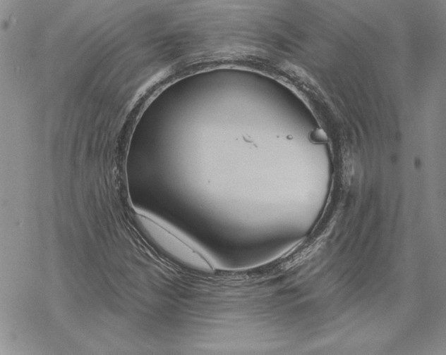 X0000069381210200606021558