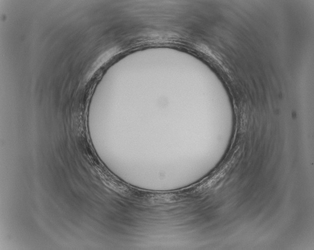 X0000069381211200606021558