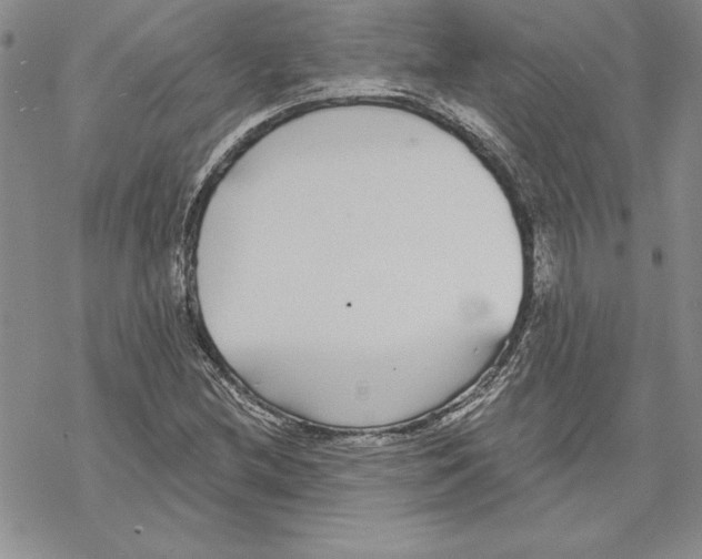 X0000069381212200606021558