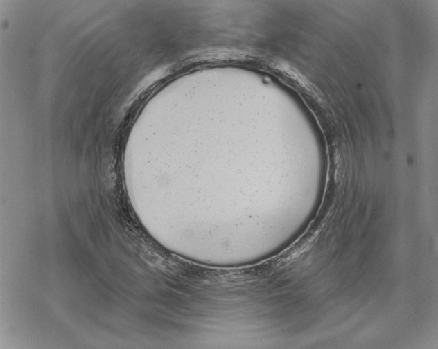 X0000069381213200606021558