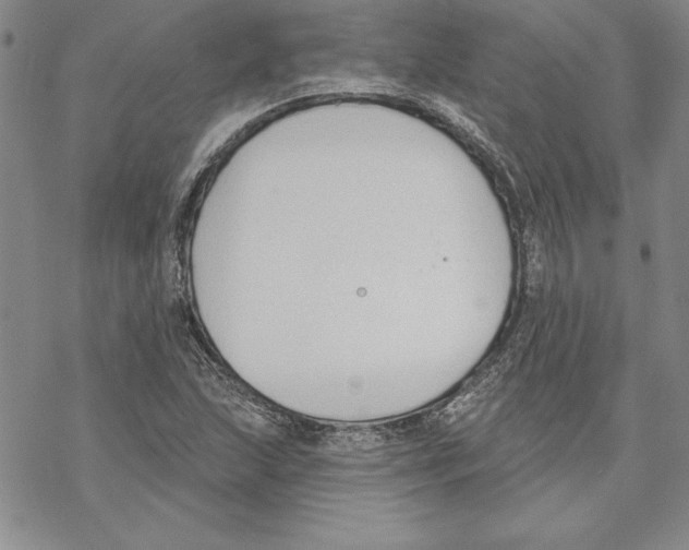 X0000069381215200606021558