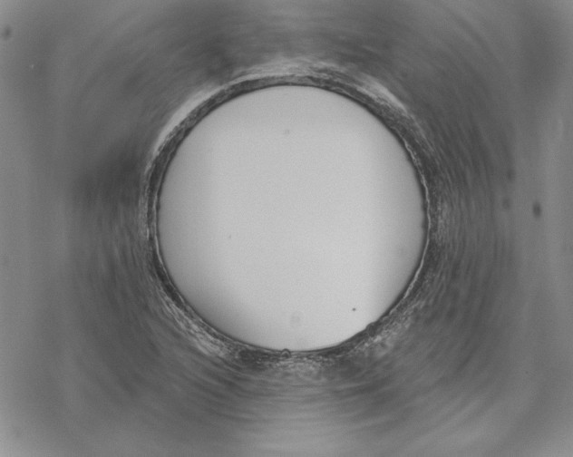 X0000069381216200606021558