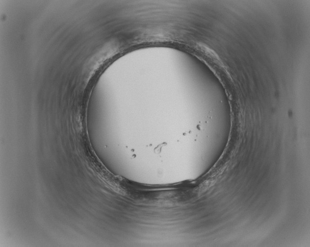 X0000069381218200606021558