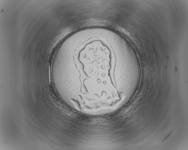 X0000069381219200606021558