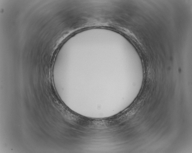 X0000069381220200606021558