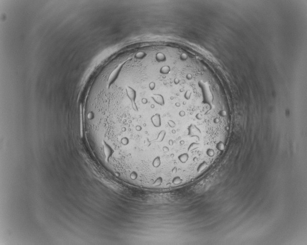 X0000069381223200606021558