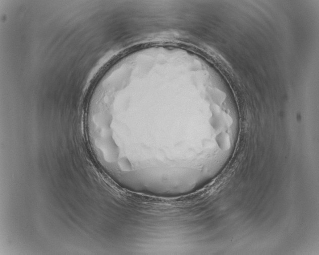 X0000069381224200606021558