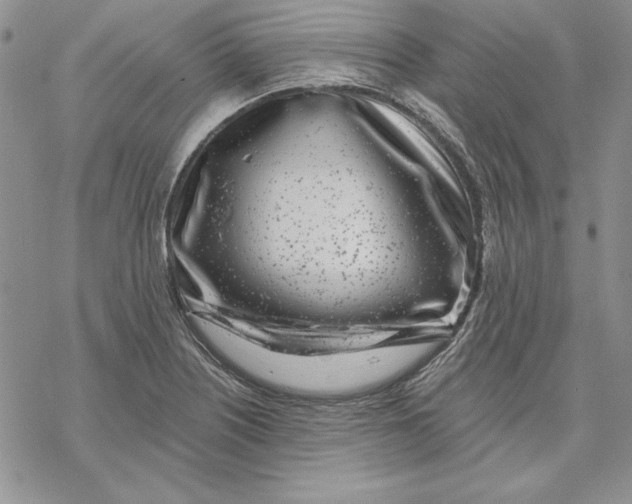 X0000069381226200606021558