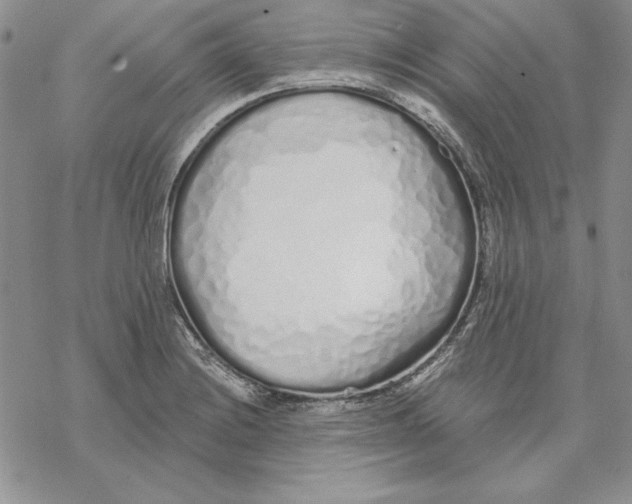 X0000069381228200606021558