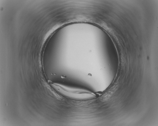 X0000069381230200606021558