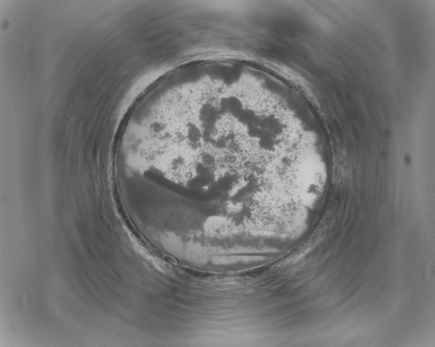 X0000069381231200606021558