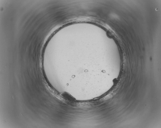 X0000069381232200606021558