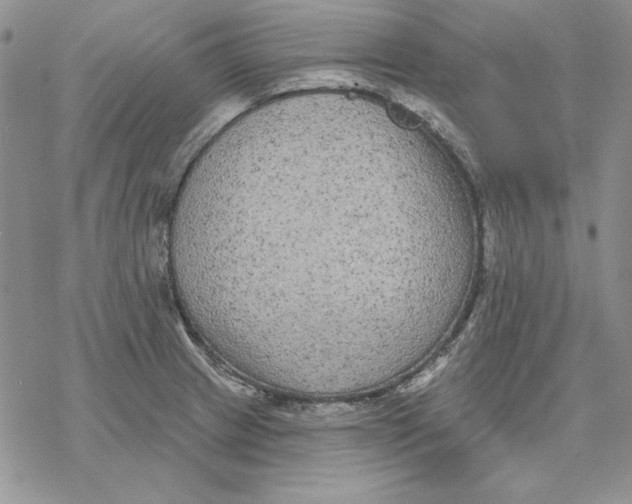 X0000069381233200606021558