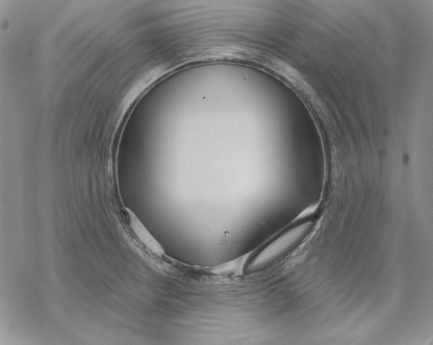 X0000069381234200606021559