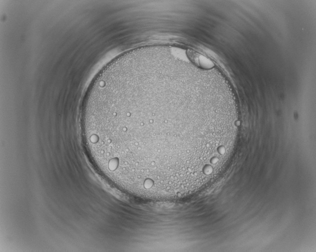 X0000069381235200606021559