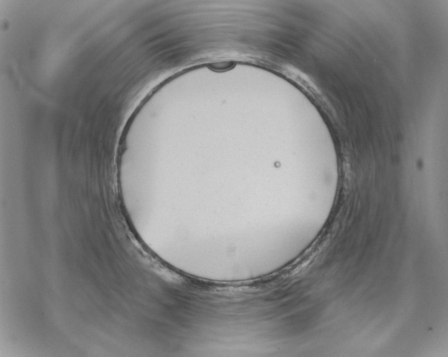 X0000069381236200606021559