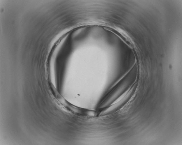 X0000069381238200606021559