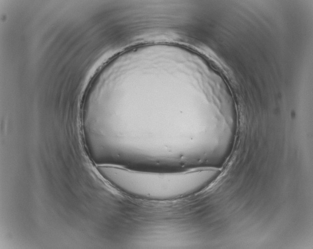 X0000069381240200606021559