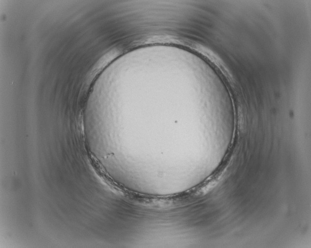 X0000069381241200606021559