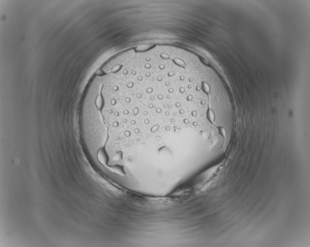 X0000069381243200606021559