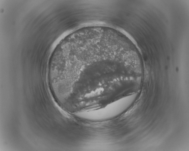 X0000069381245200606021559