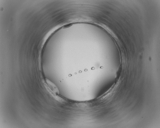 X0000069381246200606021559