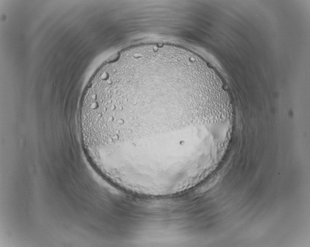 X0000069381247200606021559