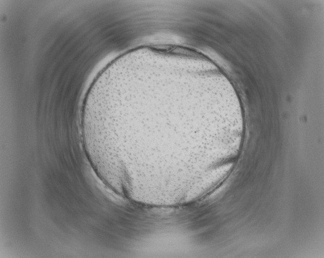 X0000069381248200606021559