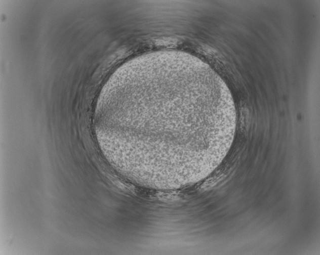 X0000069381249200606021558