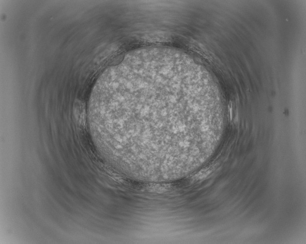 X0000069381251200606021558