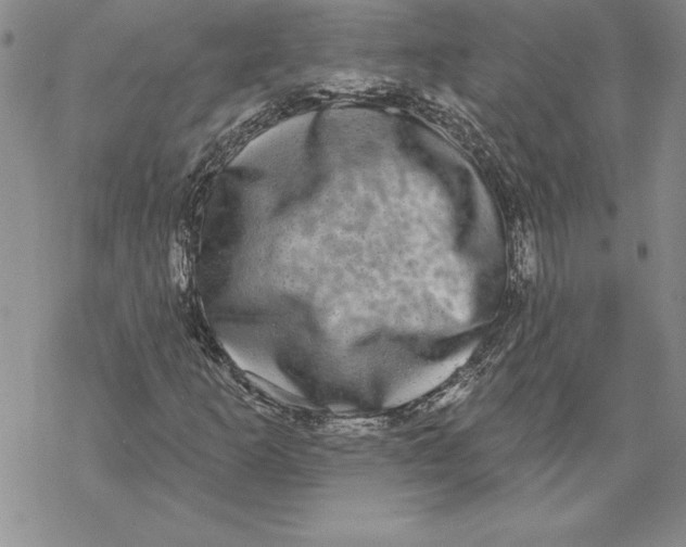 X0000069381253200606021558