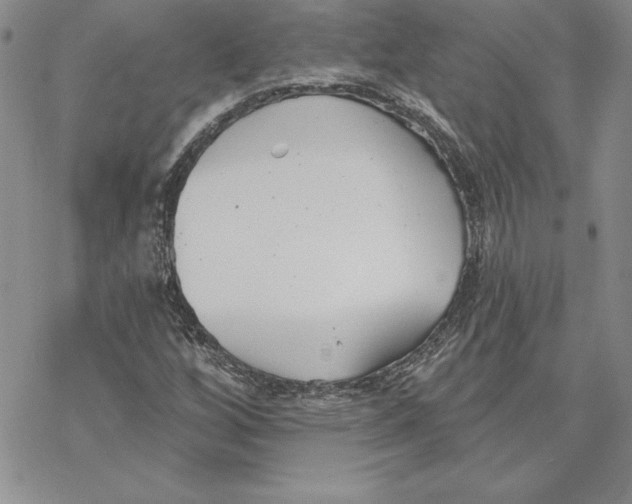 X0000069381256200606021558