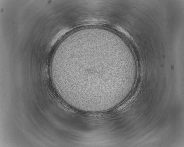 X0000069381259200606021558