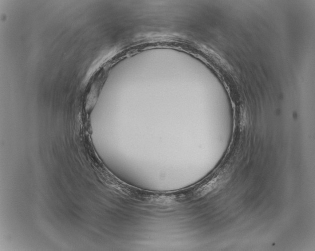 X0000069381261200606021558