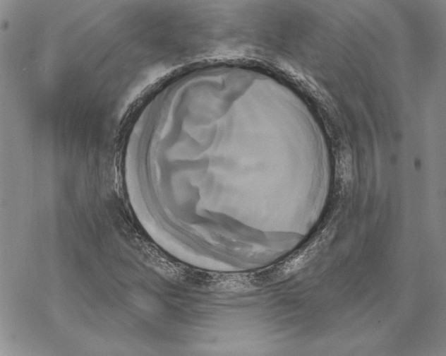 X0000069381262200606021558