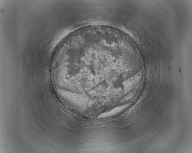 X0000069381263200606021558