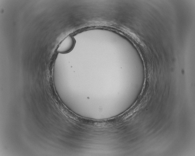 X0000069381264200606021558