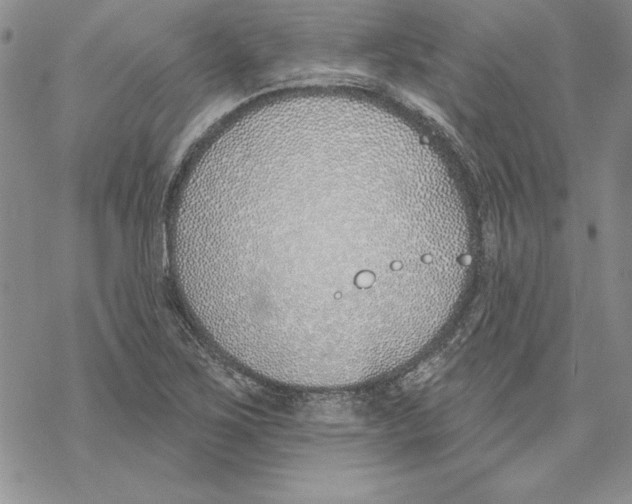 X0000069381267200606021558