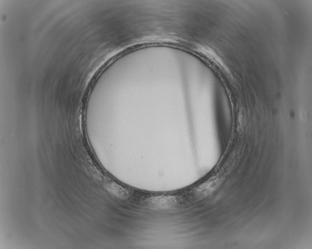 X0000069381268200606021558