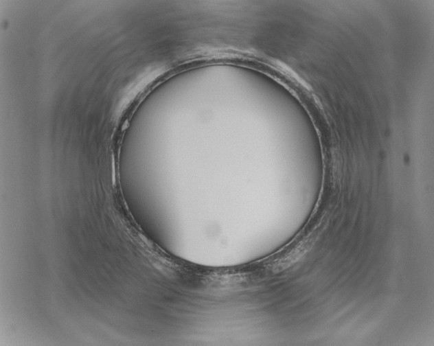 X0000069381269200606021558