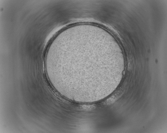 X0000069381271200606021558